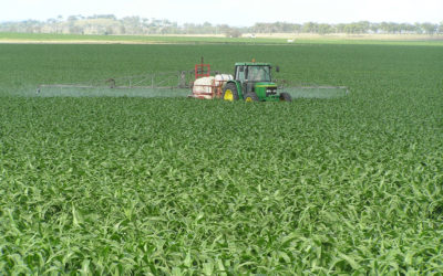 GRDC podcast highlights AFREN resources and fungicide management recommendations
