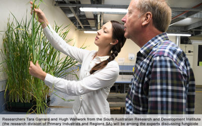 Webinars target fungicide resistance in crops