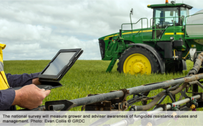 Seeking grower and agronomist insights on fungicide resistance