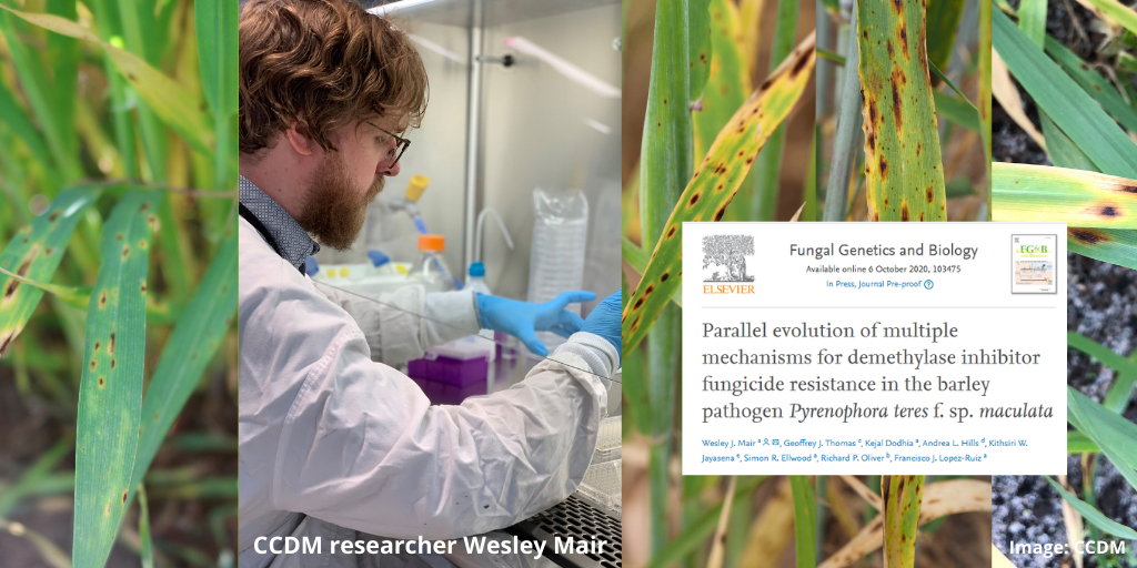 Latest fungicide resistance research has once again reinforced the value of integrated disease management strategies