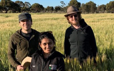 Queensland joins the rest of Australia with fungicide resistance