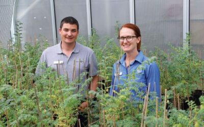 Knowledge is power when managing fungicide resistance in pulses